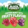 Black Forest Juicy Burst Fruit Snacks – Berry Medley (40 Count)