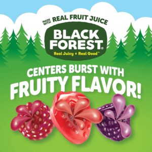 Black Forest Juicy Burst Fruit Snacks – Berry Medley (40 Count)